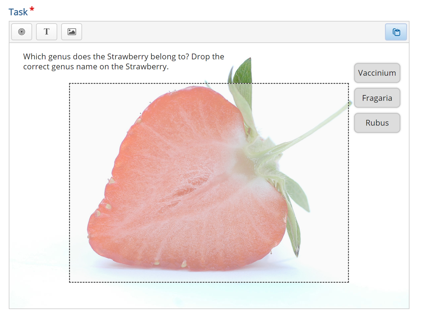 h5p course presentation drag and drop