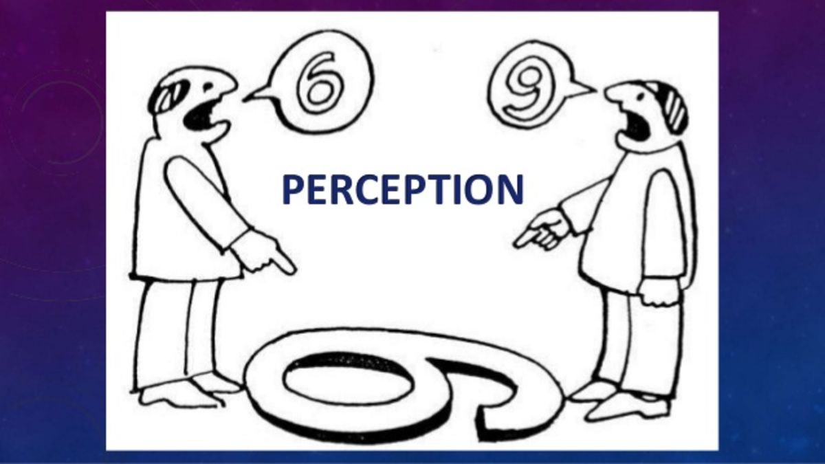 Perception can interpret information differently depending on the context, person, and/or situation.