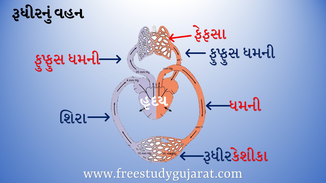પરિવહન તંત્રની આકૃતિ