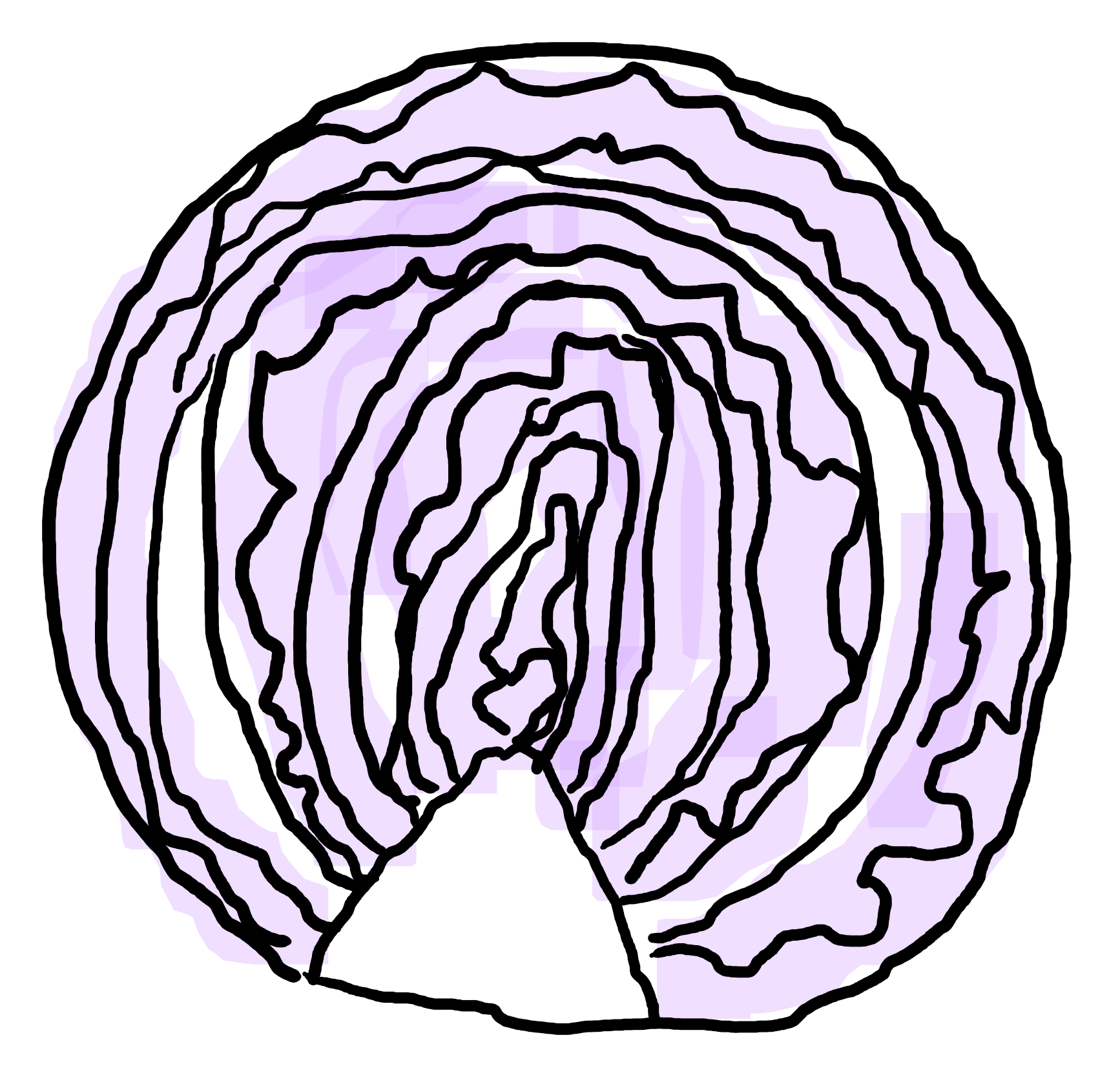 Blaukraut
