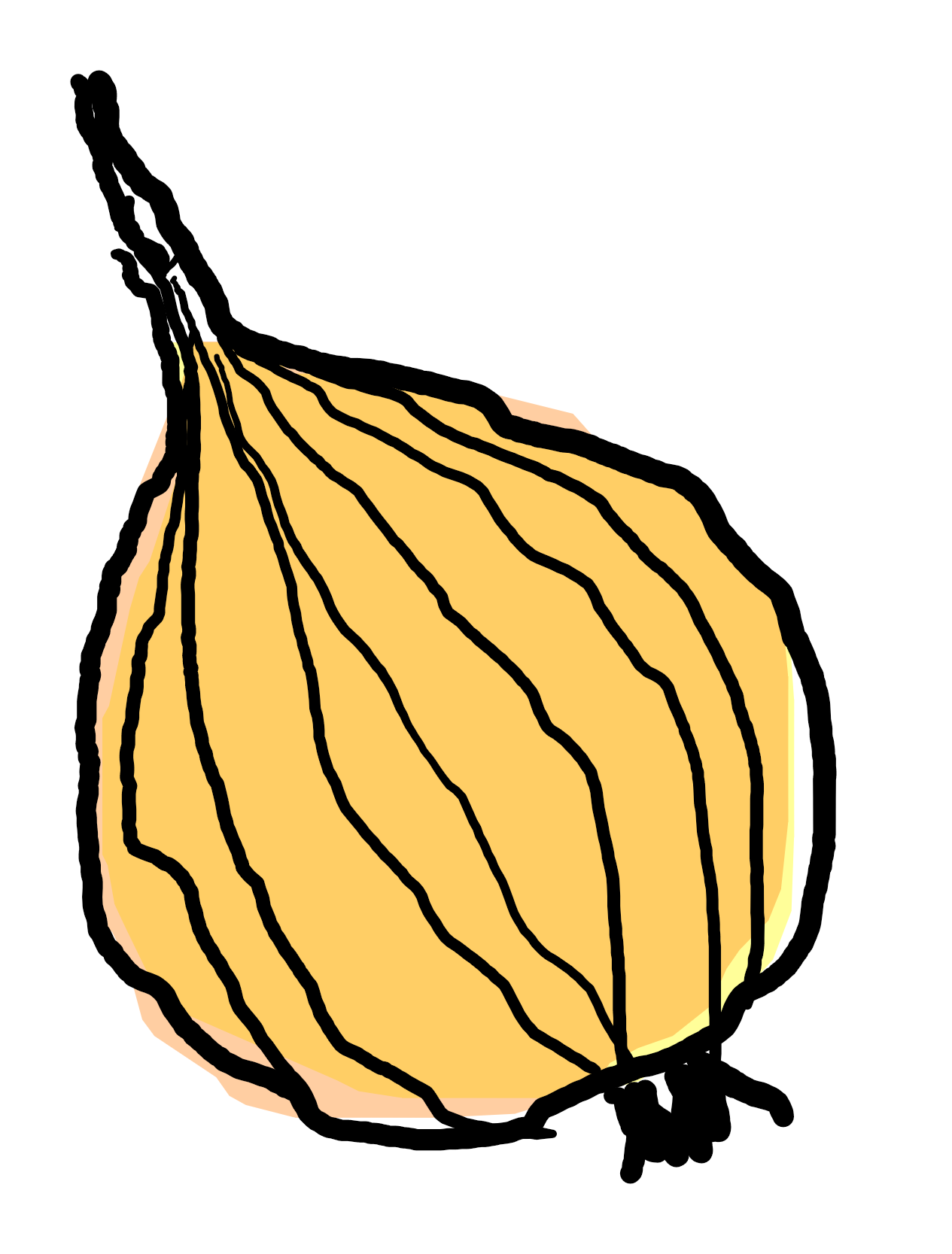 Zwiebel