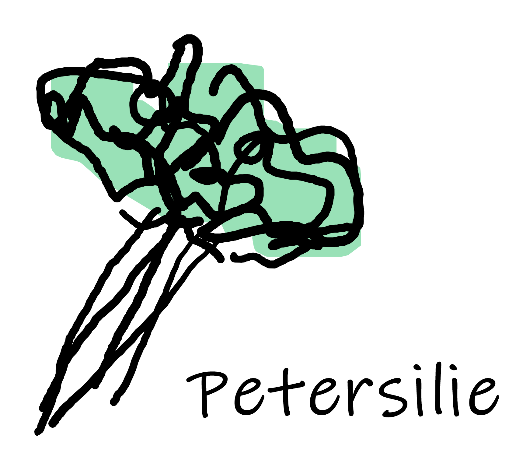 Petersilie