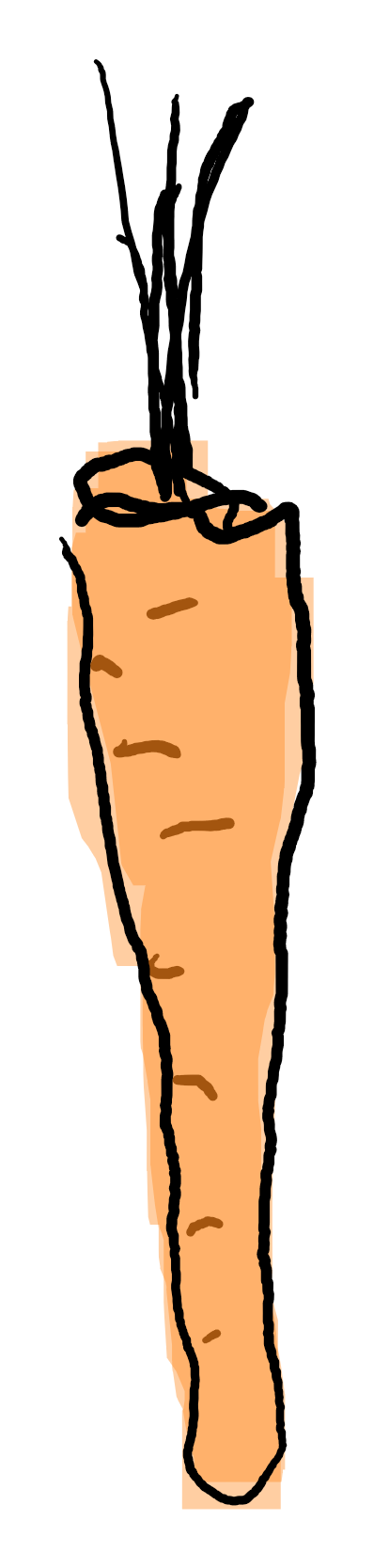 Karotte