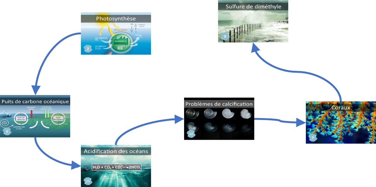 Correction interactive