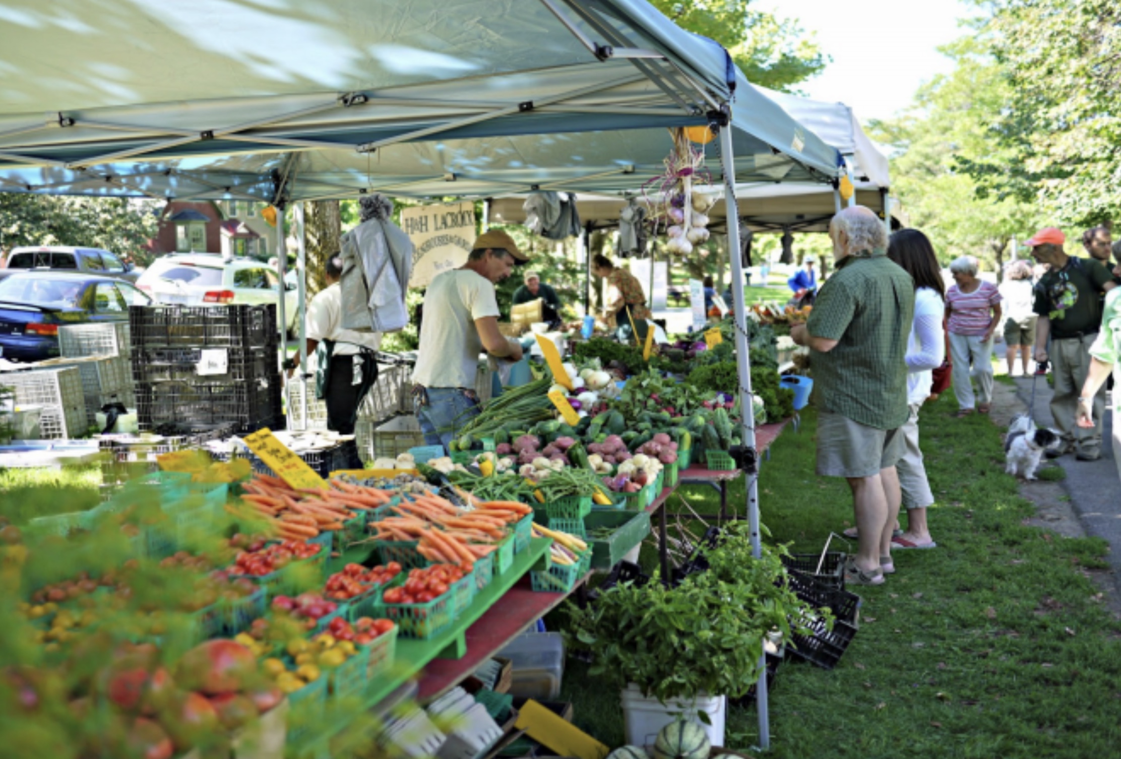 farmer's market