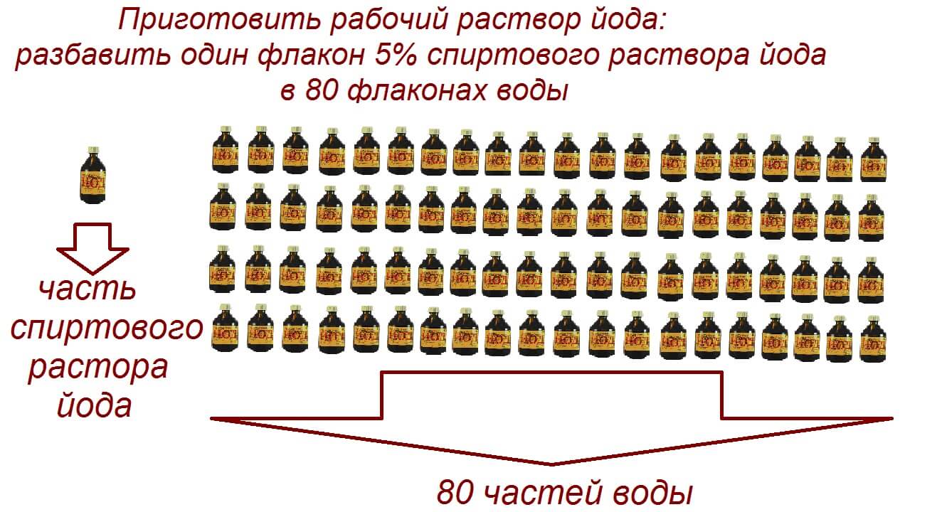 Методика обнаружения витамина С в яблочных соках и яблочных нектарах  промышленного производства