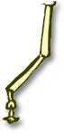 foreleg2