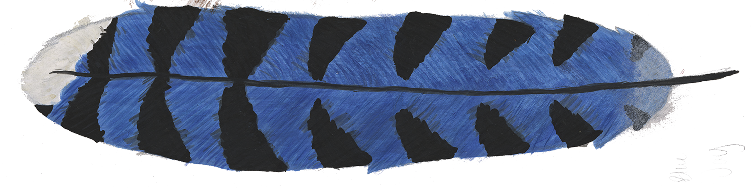 Feather F