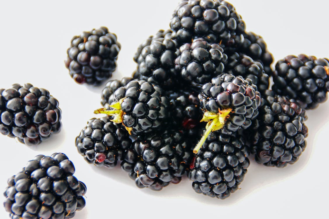 Cluster of ripe berries, showcasing their dark purple color, small round shape, and tiny seeds visible on the surface.