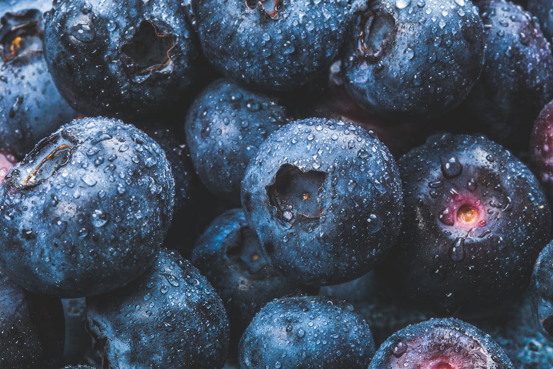 Fresh berries, showcasing their small round shape, deep blue-purple color