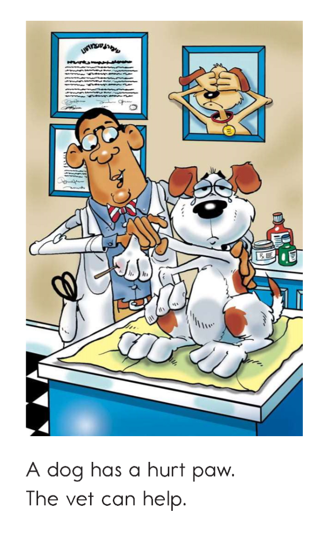 THE VET_Reading_Book_G2