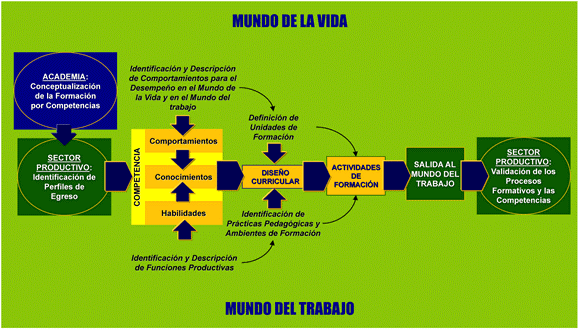 Fuente: Ministerio de Educación Nacional. Tomado de: http://mineducacion.gov.co/1621/articles-299637_grafico_competencias.gif. Fuente: Ministerio de Educación Nacional. Tomado de: http://mineducacion.gov.co/1621/articles-299637_grafico_competencias.gif.