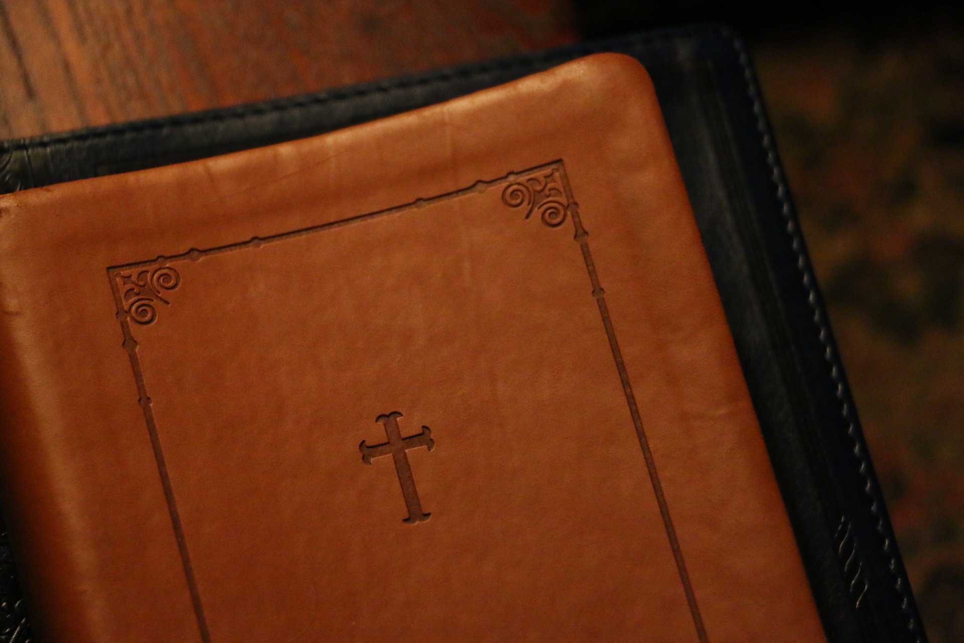 The Bible is 1 large book - a library made up of 66 smaller books.