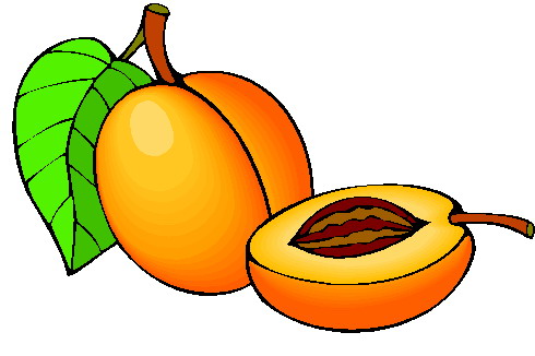 Abricot