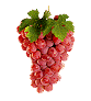 Raisin