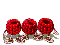 Framboise