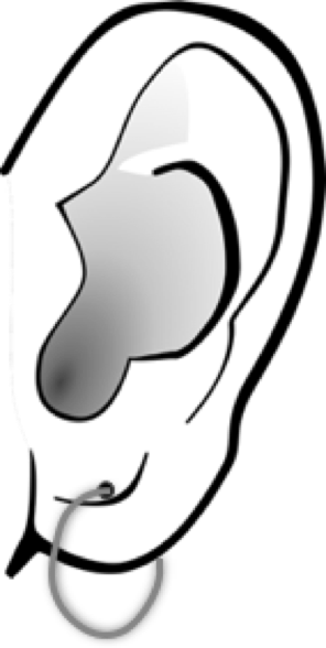 ear