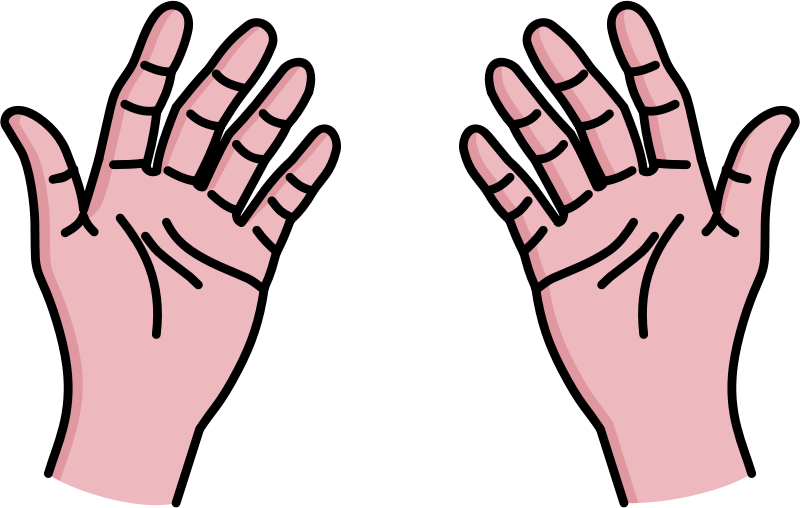 hands