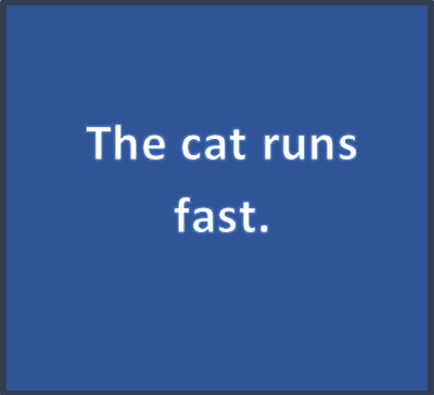 The cat runs fast.
