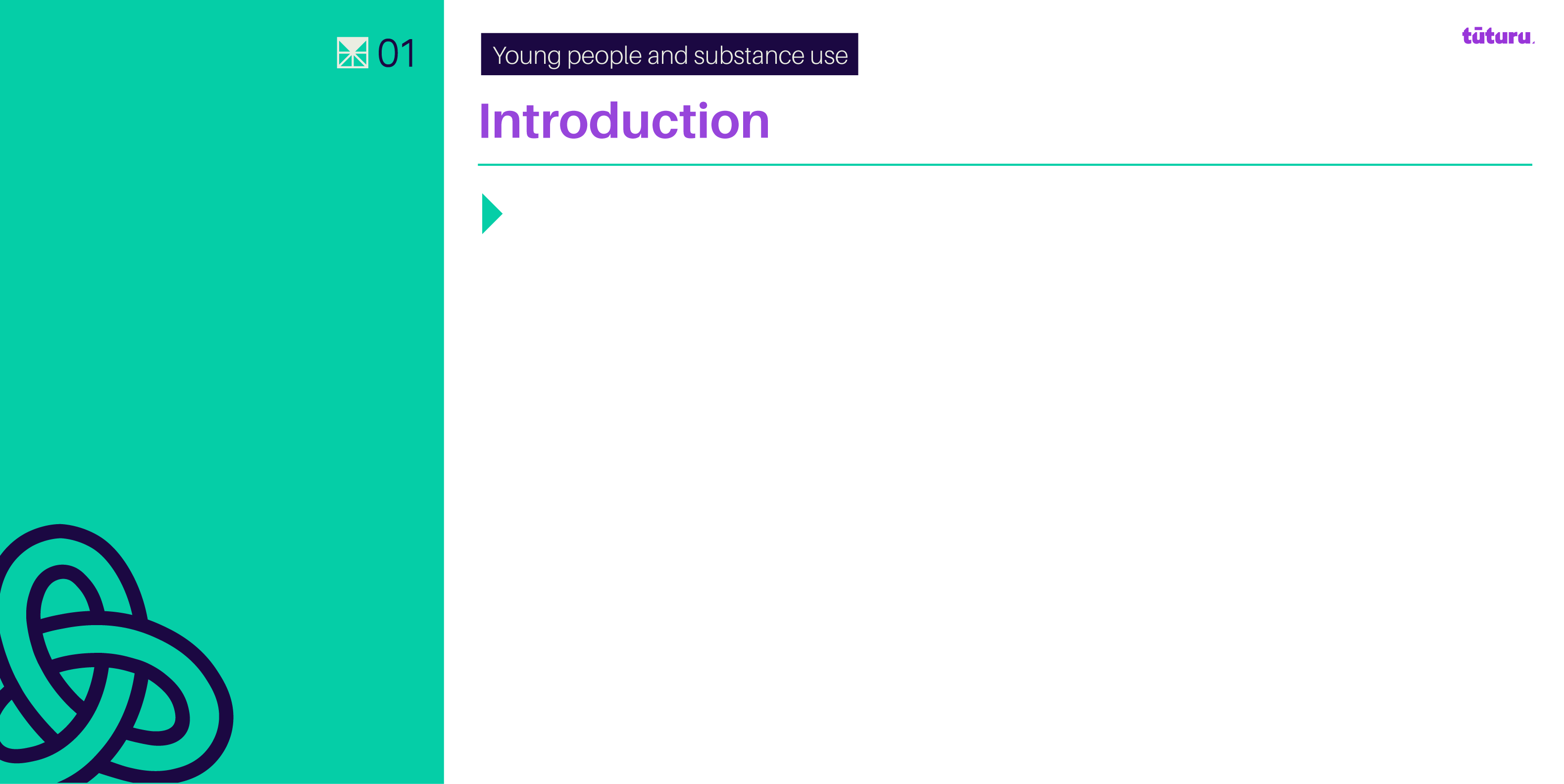 Introduction