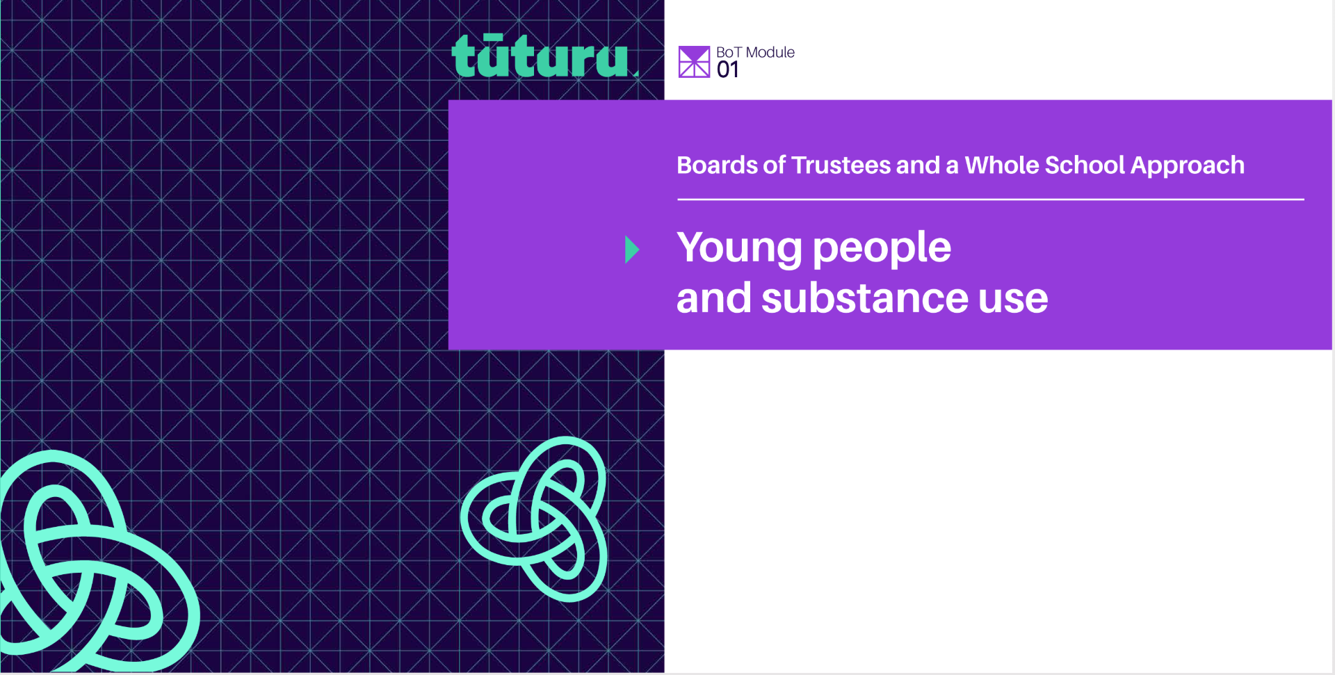 BoT: Module 1: Young people and substance use