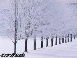 الشتاء