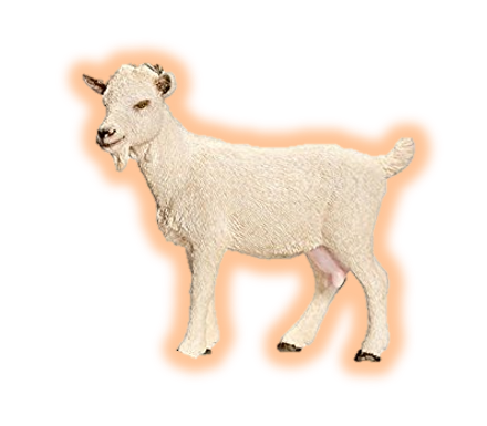 bakari