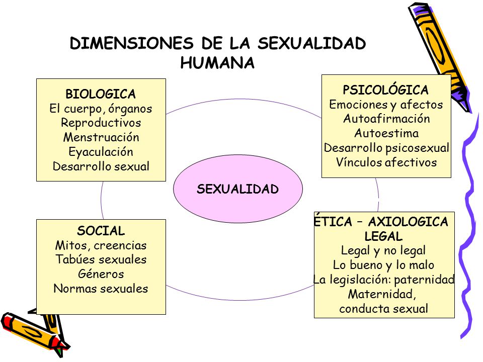 sexualidad biologica