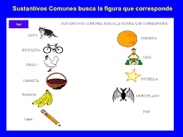 Sustantivos comunes