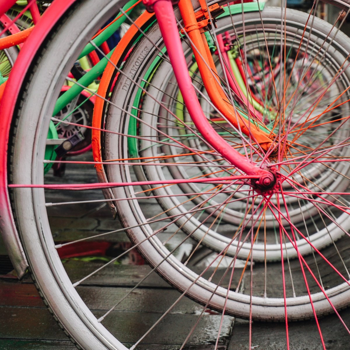 Bicycle wheels