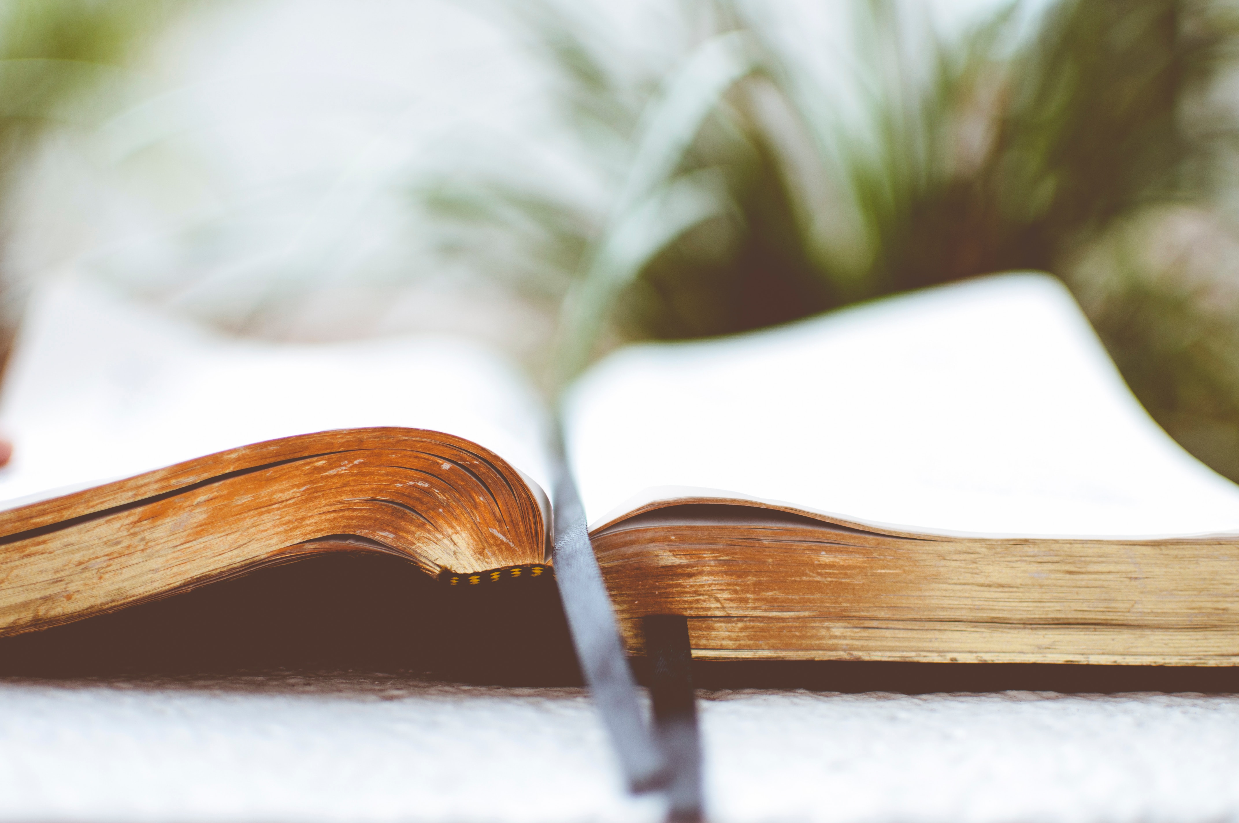Picture of an open book