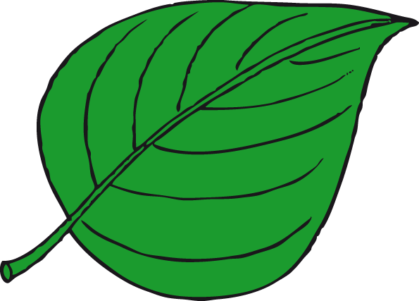 das Blatt