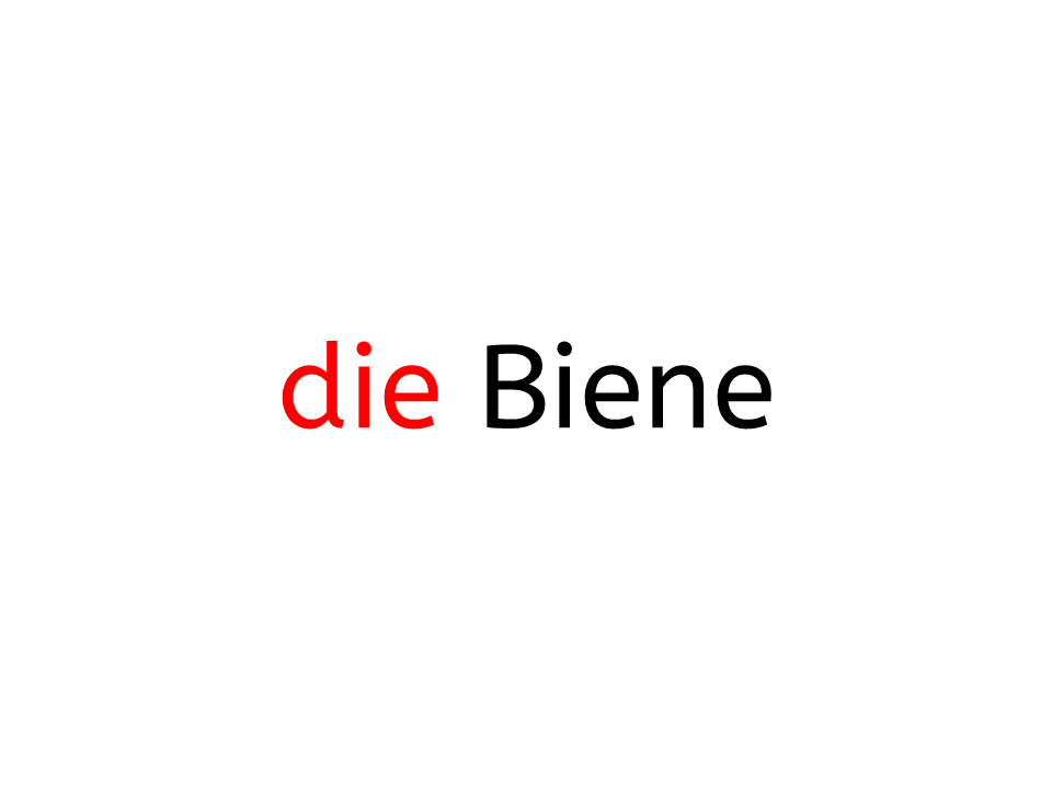die Biene