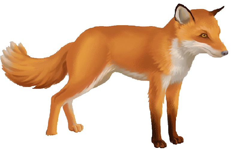 RENARD