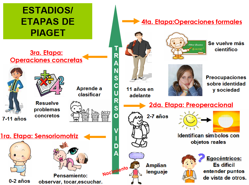 Teor a de Jean Piaget Desarrollo infantil