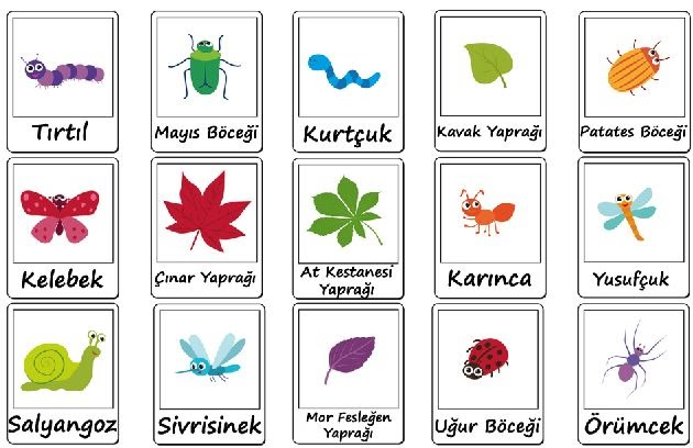 Doğa
