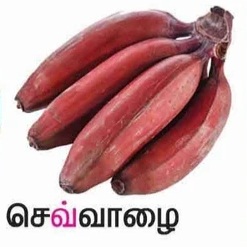 செவ்வாழை