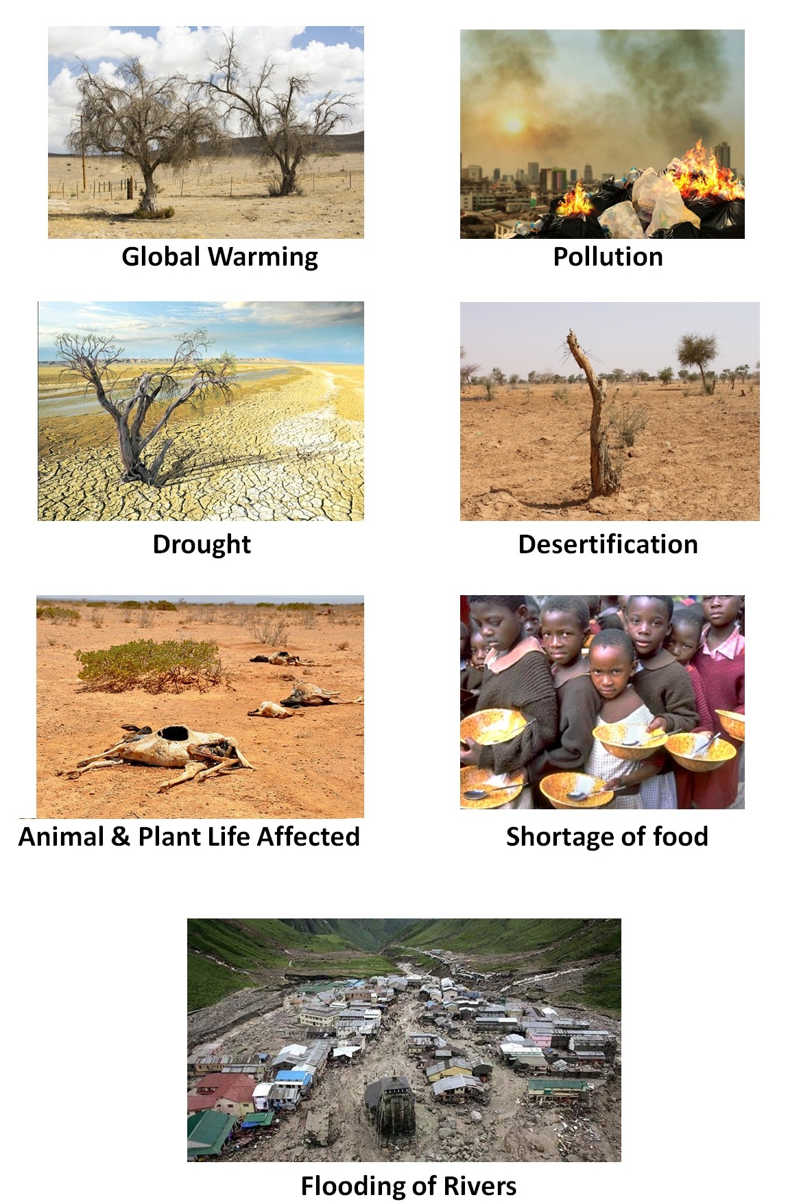 CLASS 10 - ENVIRONMENTAL MANAGEMENT - MEMORY GAME