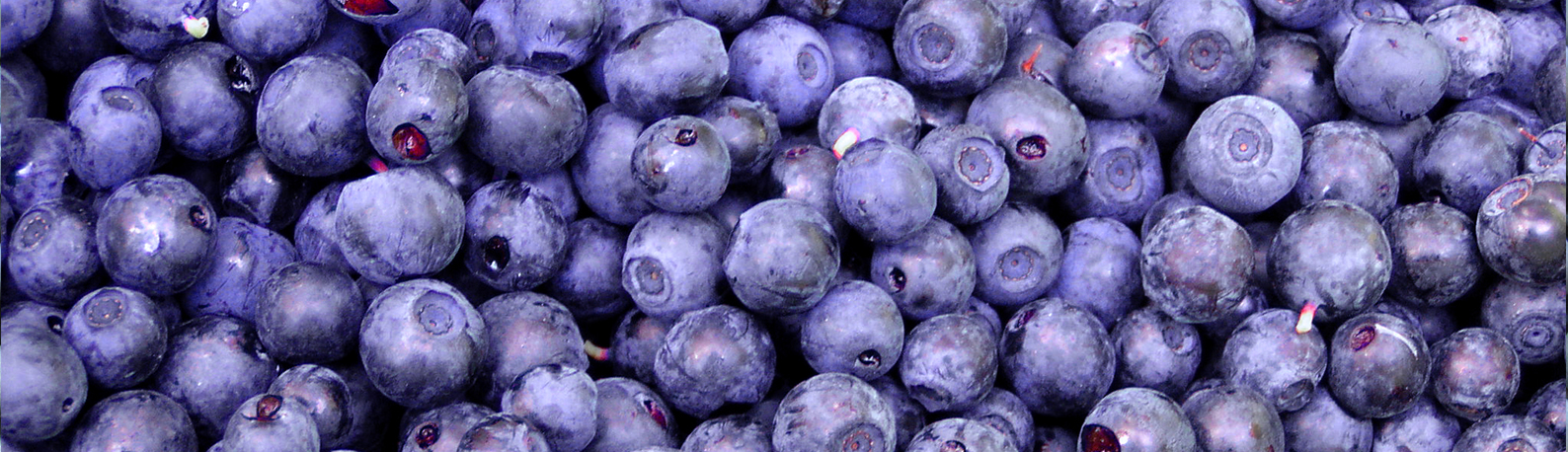 Image of blueberries