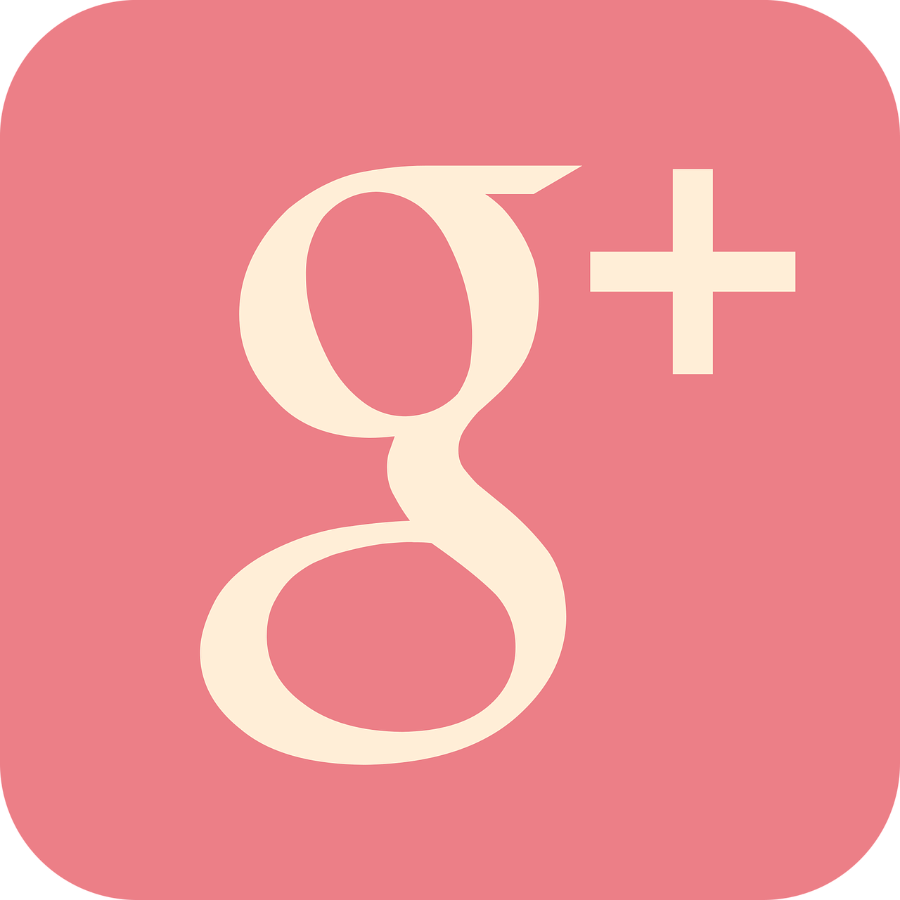 google+ google+