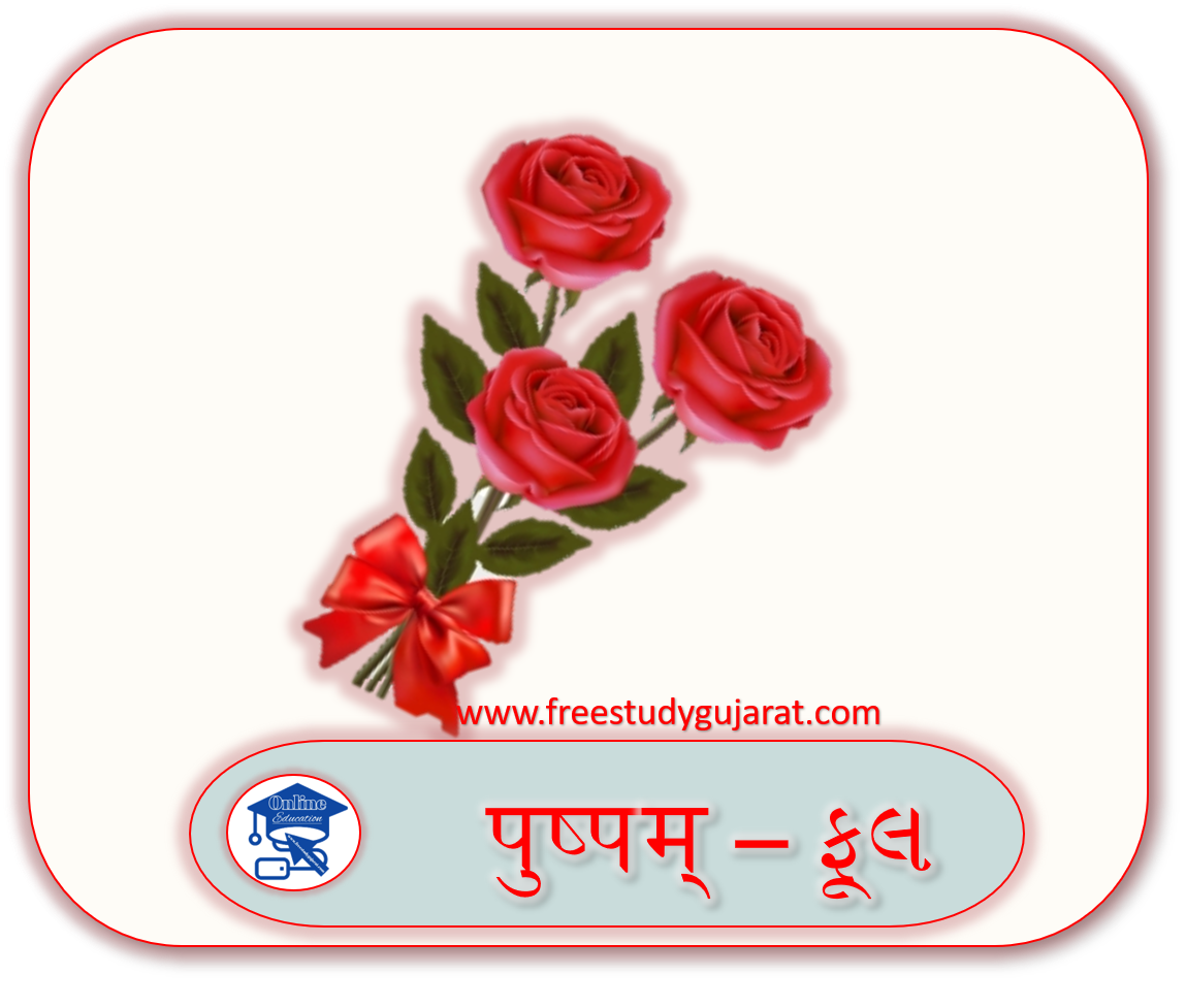 पुष्पम् – ફૂલ