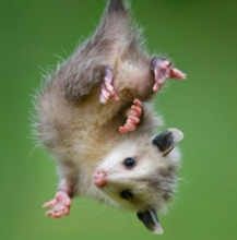 davidappleyard's picture